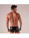 Master Trunks from the back